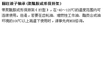 圆柱滚子轴承(聚酰胺成形保持架)